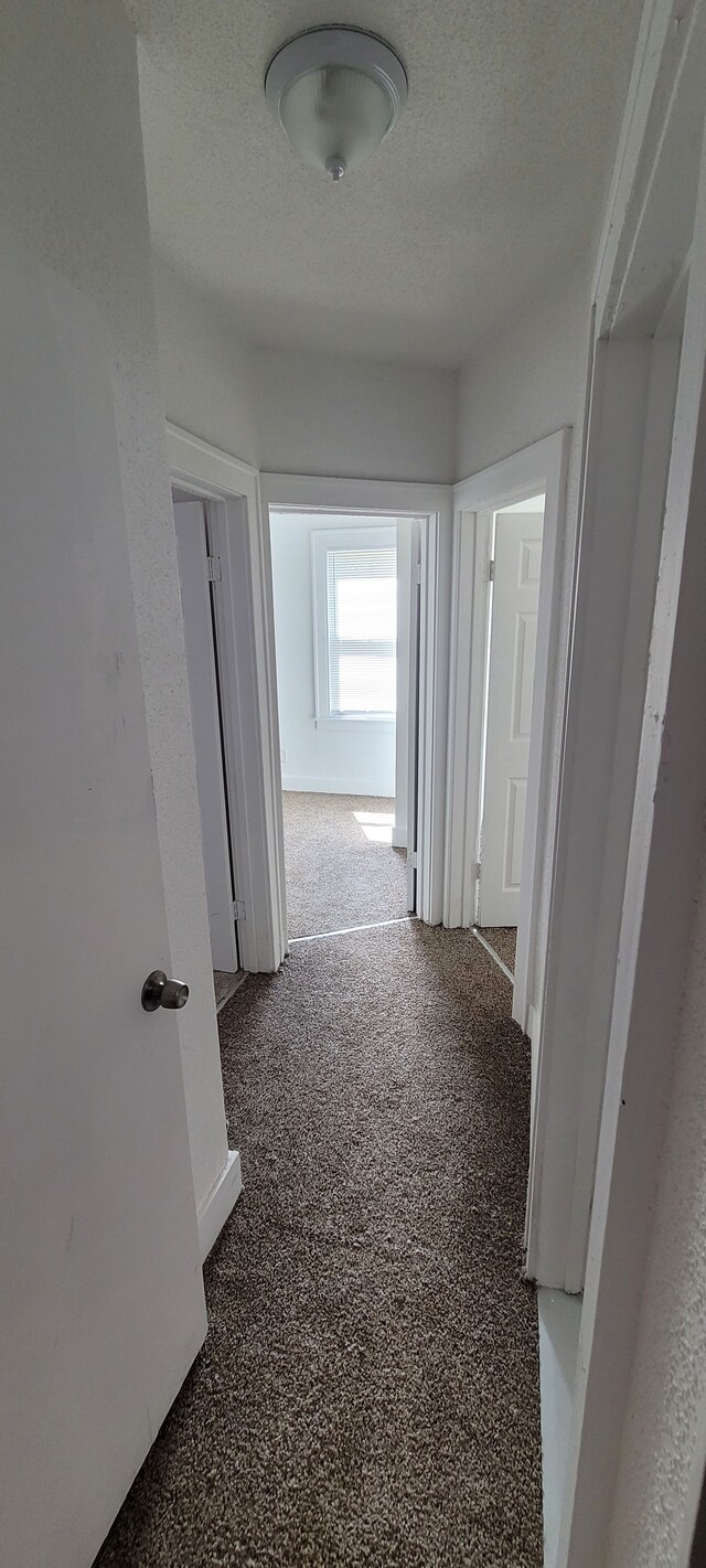 9185 Meyers Rd, Detroit, MI 48228 - corridor featuring a textured ceiling