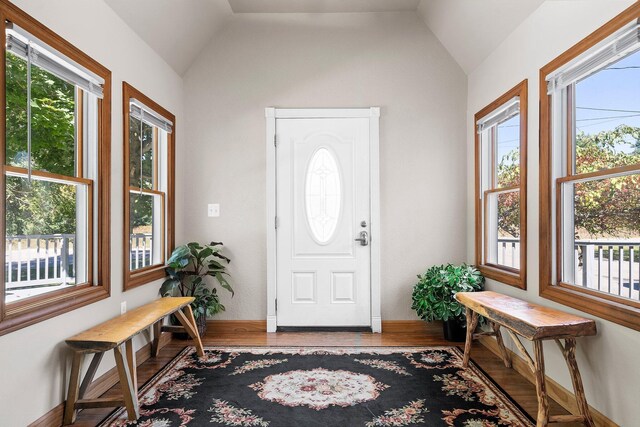 1100 Tisdale Rd, Roscommon, MI 48653 - foyer entrance featuring lofted ceiling, healthy amount of natural light, wood finished floors, and baseboards
