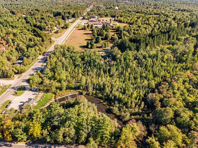 1100 Tisdale Rd, Roscommon, MI 48653 - aerial view of a heavily wooded area