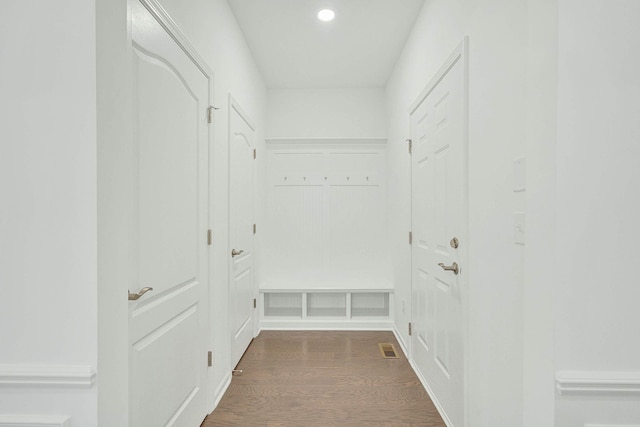 mudroom featuring dark wood-type flooring