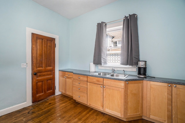 kitchen with sink and dark hardwood / wood-style floors