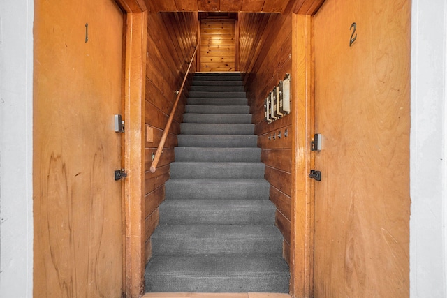 staircase featuring wooden ceiling and wooden walls