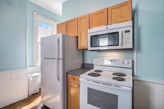 kitchen featuring dark hardwood / wood-style flooring, white appliances, and radiator heating unit