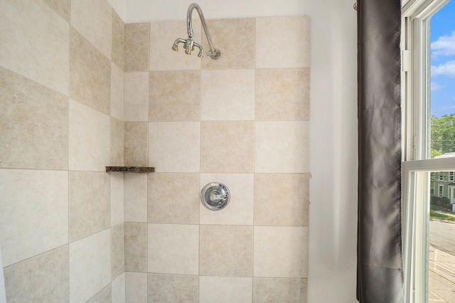 room details with tiled shower