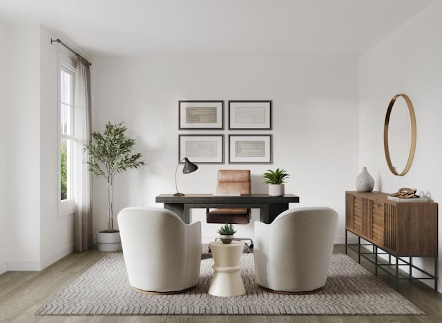 office with wood-type flooring