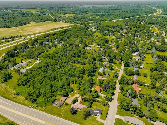 bird's eye view