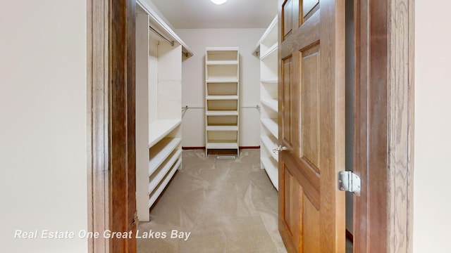 spacious closet with light carpet