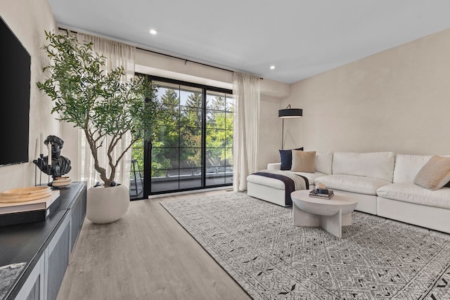 living room with wood-type flooring