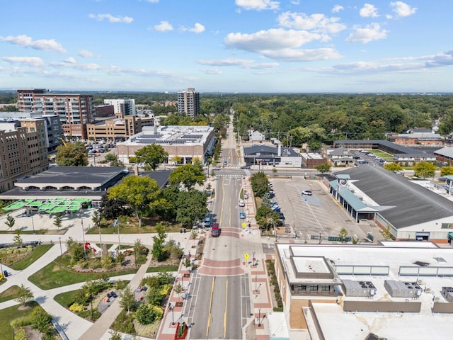 bird's eye view