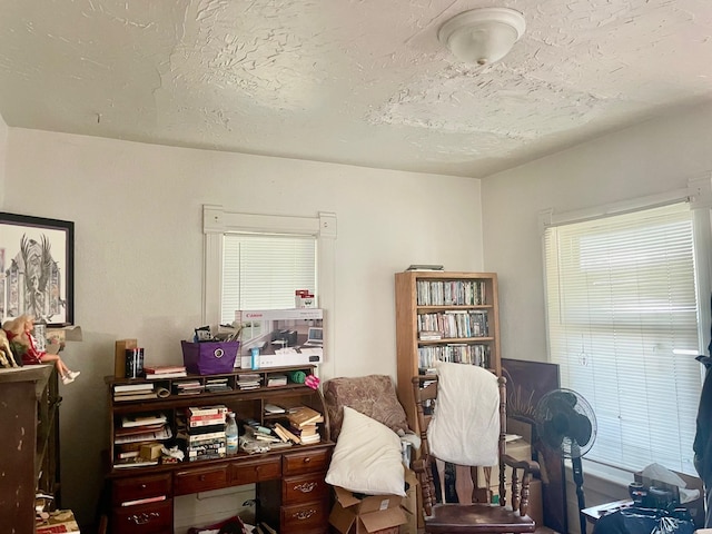 office space featuring a wealth of natural light and a textured ceiling