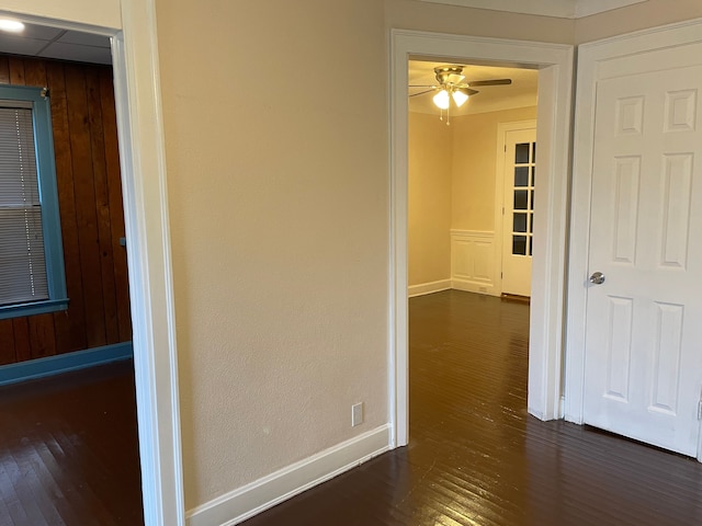 corridor with dark wood-type flooring and wood walls