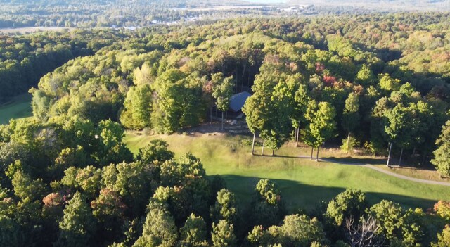 0 Shanty Creek Dr, Bellaire, MI 49615