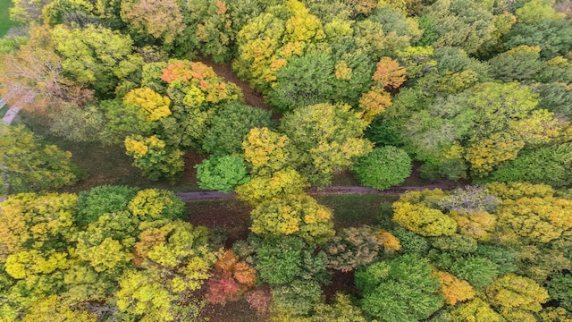 5563 Spring Creek Rd, Three Oaks, MI 49128 - aerial overview of property's location featuring a forest
