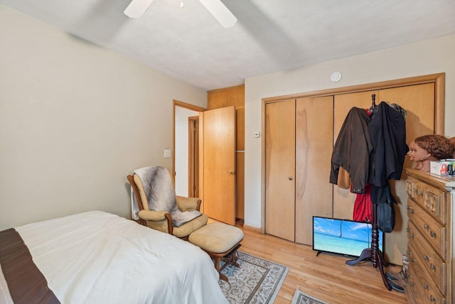 5563 Spring Creek Rd, Three Oaks, MI 49128 - bedroom featuring light wood-style flooring, a closet, and a ceiling fan