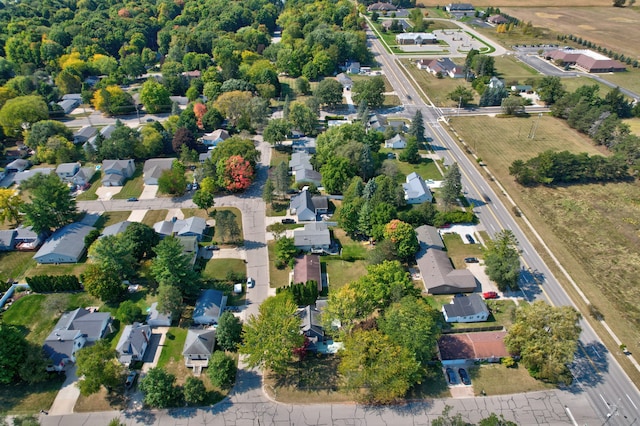 bird's eye view