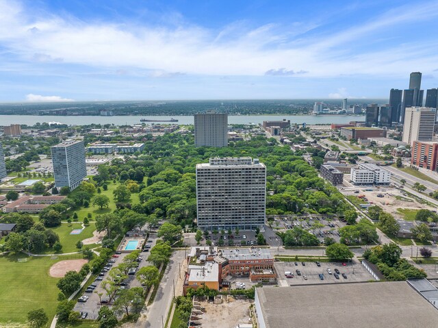 1395 Antietam Ave Unit 57, Detroit, MI 48207 - view of urban area with a large body of water