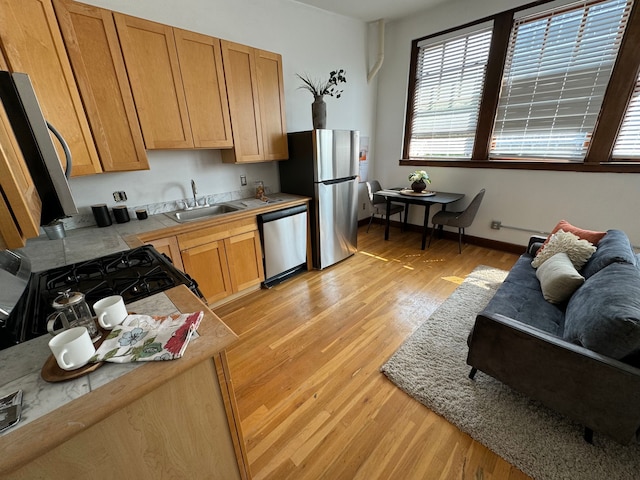 kitchen with light hardwood / wood-style flooring, stainless steel appliances, and sink