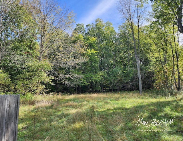 19136 130th Ave, Tustin, MI 49688 - view of yard featuring a view of trees