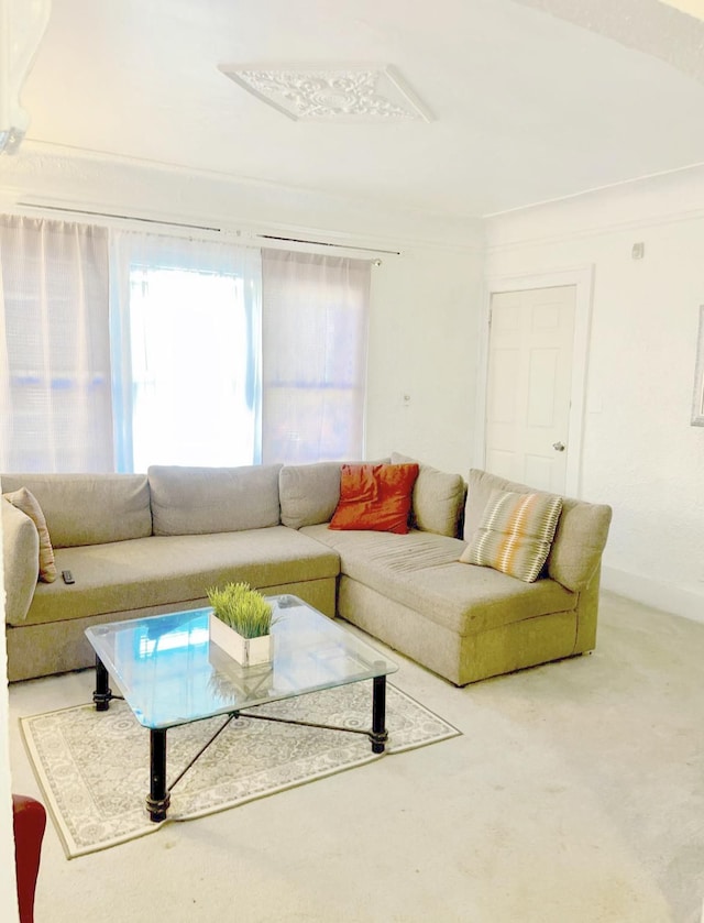 living room with carpet flooring