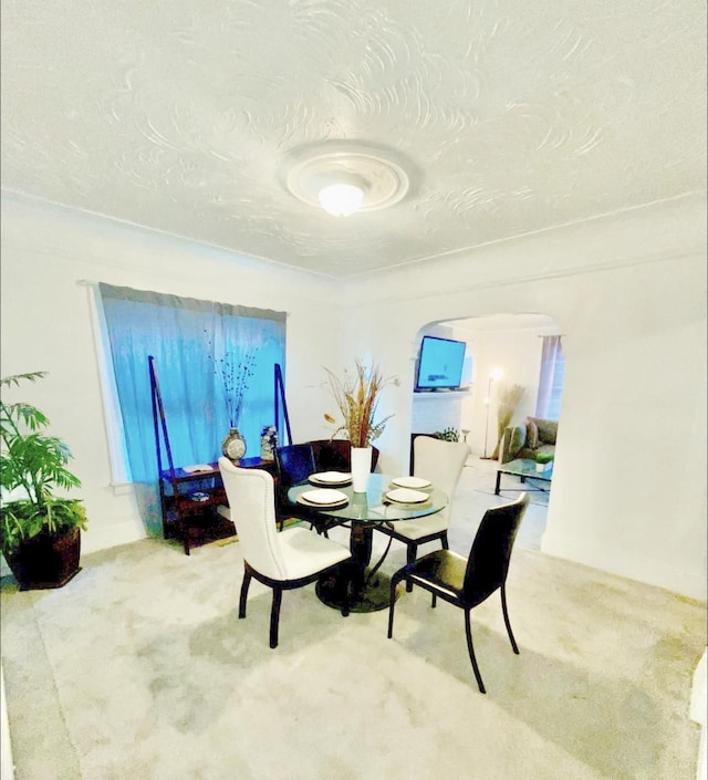 dining room with carpet flooring and a textured ceiling