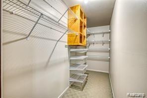527 E University Dr Unit 1108, Rochester, MI 48307 - view of walk in closet