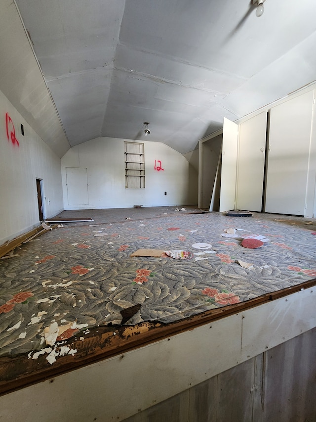 additional living space featuring vaulted ceiling