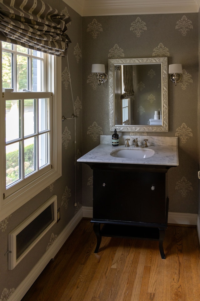 bathroom featuring vanity, wood-type flooring, and a wealth of natural light