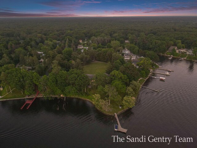 18635 N Fruitport Rd, Spring Lake, MI 49456 - bird's eye view of a large body of water and a heavily wooded area