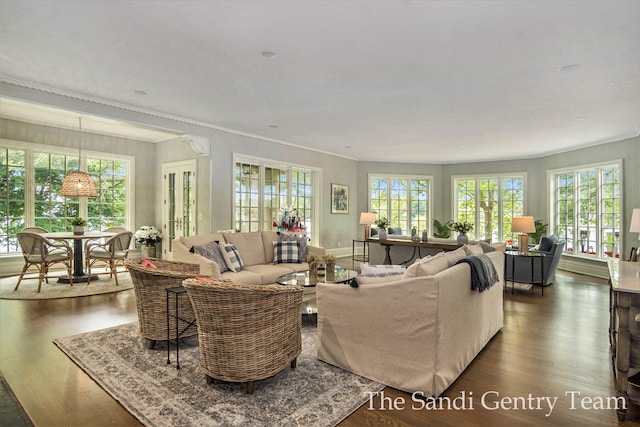 living room with dark hardwood / wood-style floors and crown molding