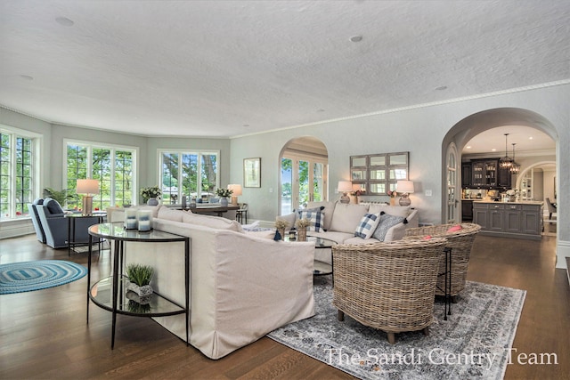 living room featuring dark hardwood / wood-style flooring, a chandelier, a textured ceiling, and ornamental molding