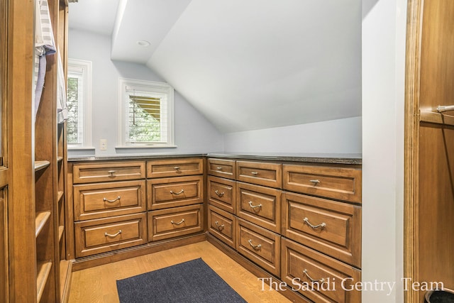 interior space featuring vaulted ceiling and light wood-type flooring