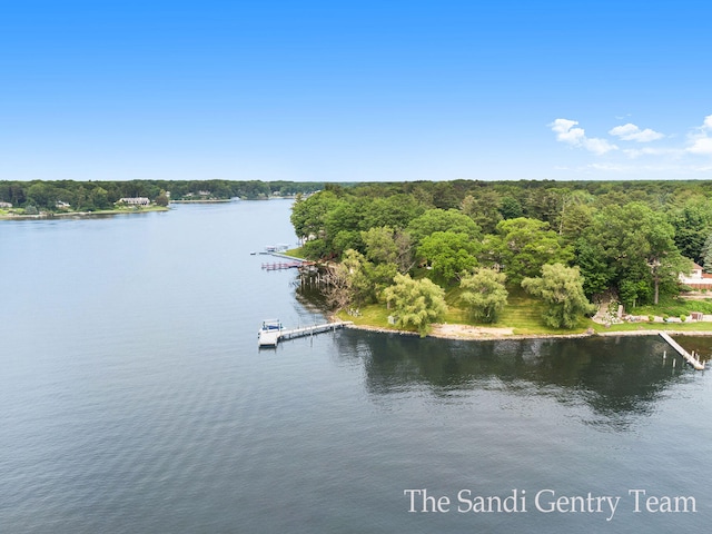 property view of water featuring a dock