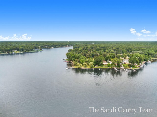 18635 N Fruitport Rd, Spring Lake, MI 49456 - water view featuring a forest