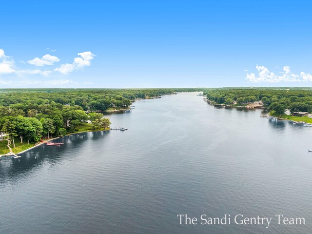 18635 N Fruitport Rd, Spring Lake, MI 49456 - water view with a forest