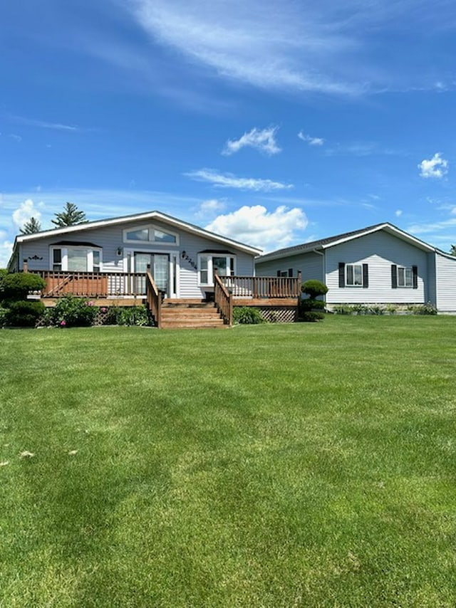 back of house featuring a yard