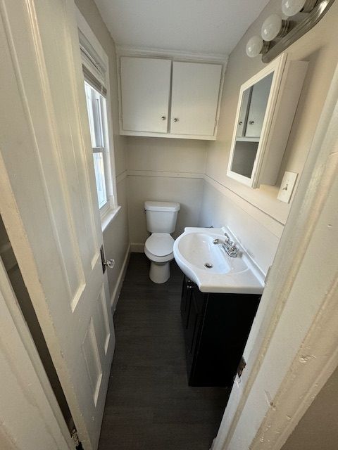 bathroom with vanity, wood-type flooring, and toilet