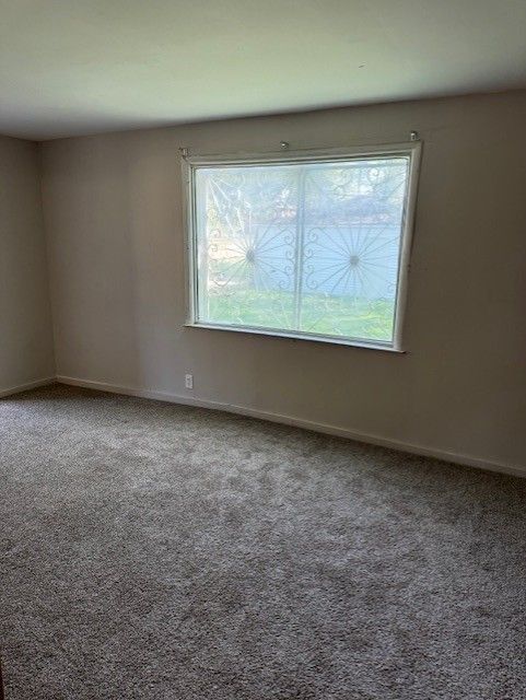 spare room featuring carpet