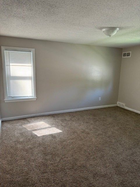 carpeted empty room featuring a textured ceiling