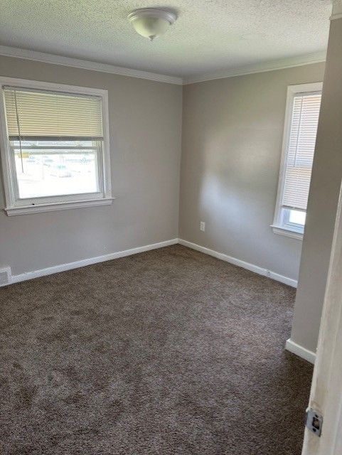 unfurnished room with plenty of natural light, dark carpet, ornamental molding, and a textured ceiling