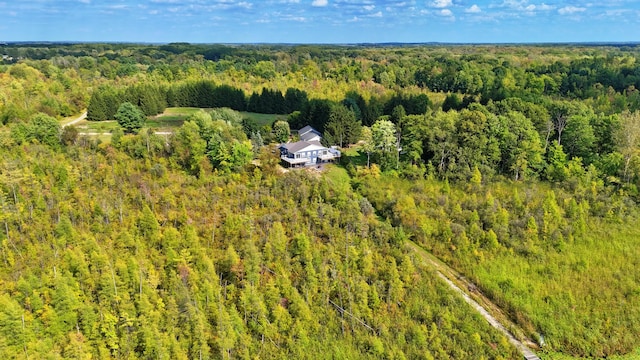 491 Bitter Creek Ln, Pierson, MI 49339 - aerial overview of property's location featuring a forest