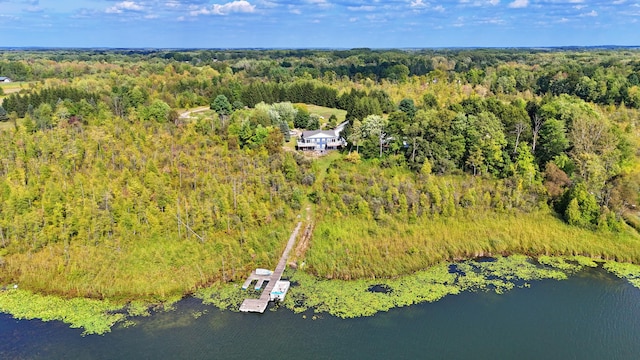 491 Bitter Creek Ln, Pierson, MI 49339 - aerial view of a forest and a nearby body of water