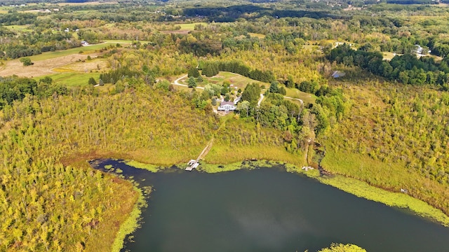 491 Bitter Creek Ln, Pierson, MI 49339 - drone / aerial view of a nearby body of water and a forest