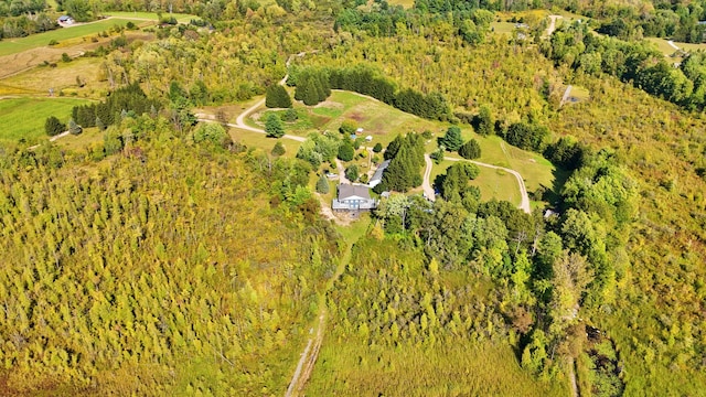491 Bitter Creek Ln, Pierson, MI 49339 - bird's eye view of a heavily wooded area