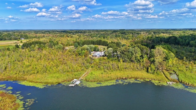 491 Bitter Creek Ln, Pierson, MI 49339 - bird's eye view of a forest and a large body of water