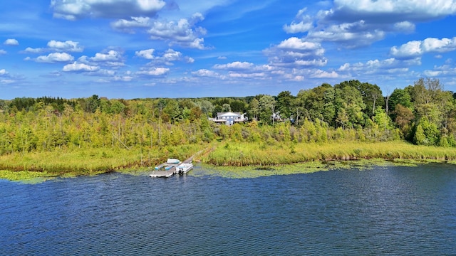 491 Bitter Creek Ln, Pierson, MI 49339 - water view with a heavily wooded area and a dock