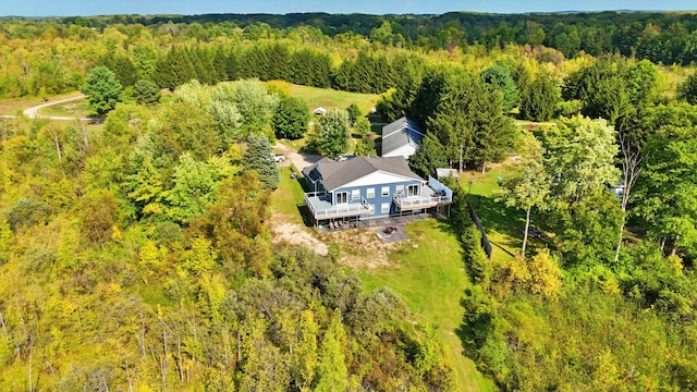 491 Bitter Creek Ln, Pierson, MI 49339 - aerial view of property and surrounding area with a heavily wooded area