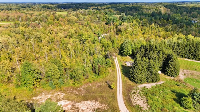 491 Bitter Creek Ln, Pierson, MI 49339 - bird's eye view of a forest