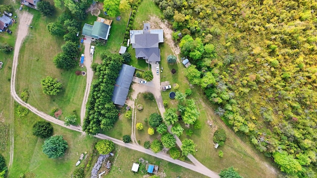 491 Bitter Creek Ln, Pierson, MI 49339 - aerial overview of property's location