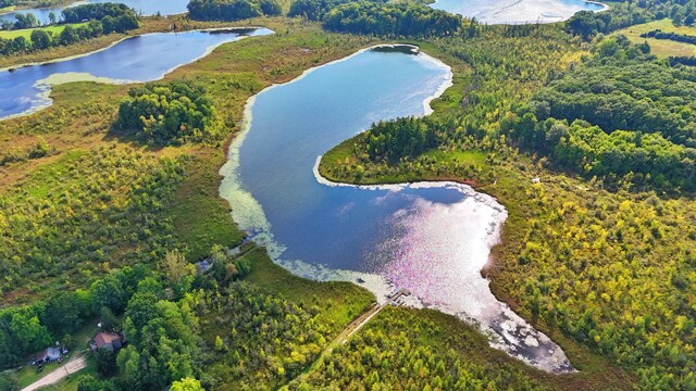 491 Bitter Creek Ln, Pierson, MI 49339 - aerial view of property and surrounding area featuring a large body of water and a forest