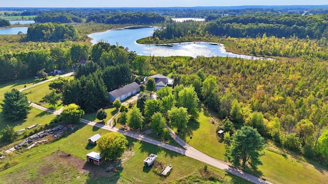 491 Bitter Creek Ln, Pierson, MI 49339 - aerial view of property's location with a large body of water and a heavily wooded area